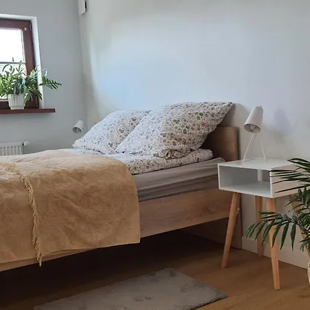 Kawalerka 40 M 2 Osoby Ulica Porzeczkowa Torun Apartment Exterior photo