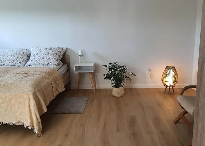 Kawalerka 40 M 2 Osoby Ulica Porzeczkowa Torun